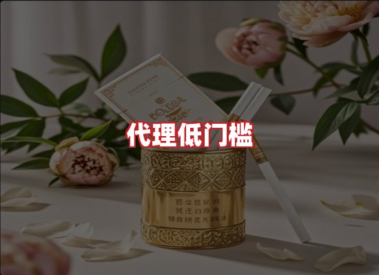 专业团队